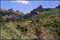 Monte Arcuentu